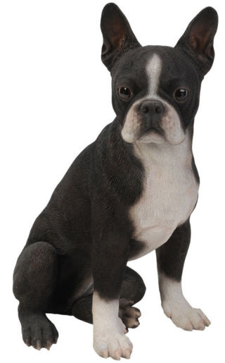 boston terrier puppy statue