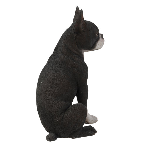 boston terrier puppy statue