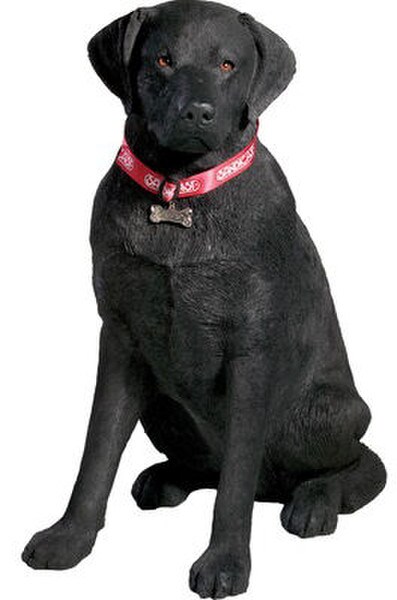 black labrador statues garden