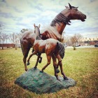 Life Size Bronze Horse Statues