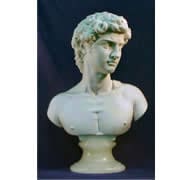 David by Michelanglo Bust